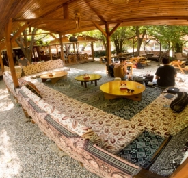 Sabans Treehouses Olympos Turkey