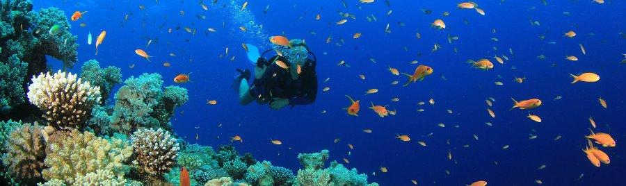 Diving in Kas