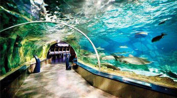 Aquarium