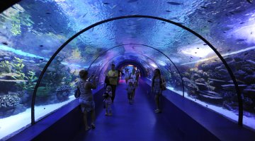 Aquarium Tunnel