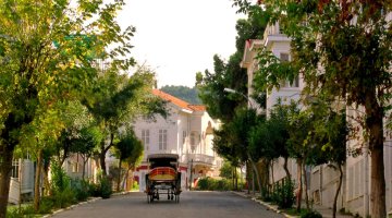 Princess Island Horse Drawn Carriage