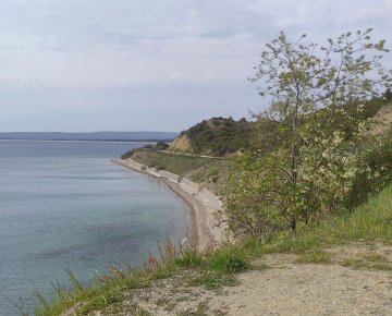 Anzac Cove
