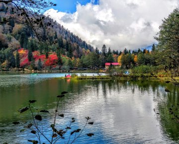 Artvin