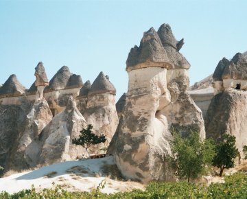 Honey Valley